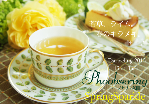 送料無料 ダージリン紅茶2015年ファーストフラッシュ フーブセリン茶園springsparkle 50g 紅茶専門店シルバーポット